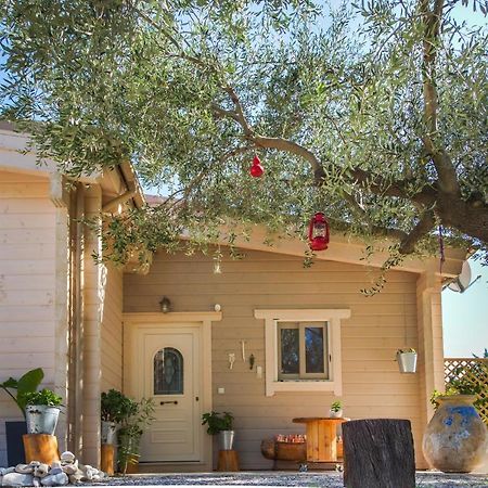 Driftwood Villa 卡拉瓦杜斯 外观 照片